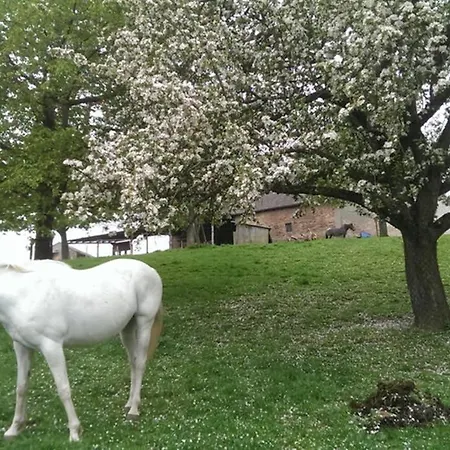 Sinnes Wandel Hof Serka Grimma Buitenkant foto